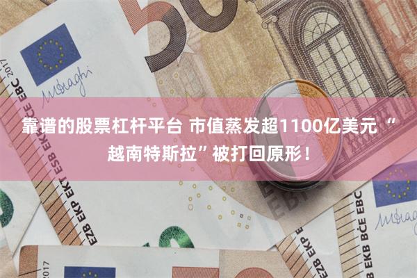 靠谱的股票杠杆平台 市值蒸发超1100亿美元 “越南特斯拉”被打回原形！