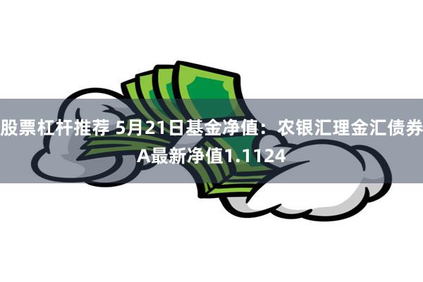 股票杠杆推荐 5月21日基金净值：农银汇理金汇债券A最新净值1.1124