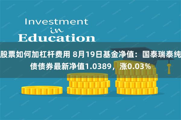 股票如何加杠杆费用 8月19日基金净值：国泰瑞泰纯债债券最新净值1.0389，涨0.03%